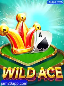 Explorando o Fascinante Mundo do WildAce